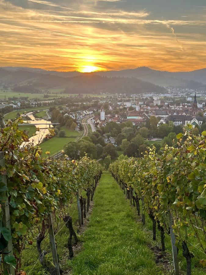 Apartament Coucou - Nest Im Schwarzwald Gengenbach Zewnętrze zdjęcie